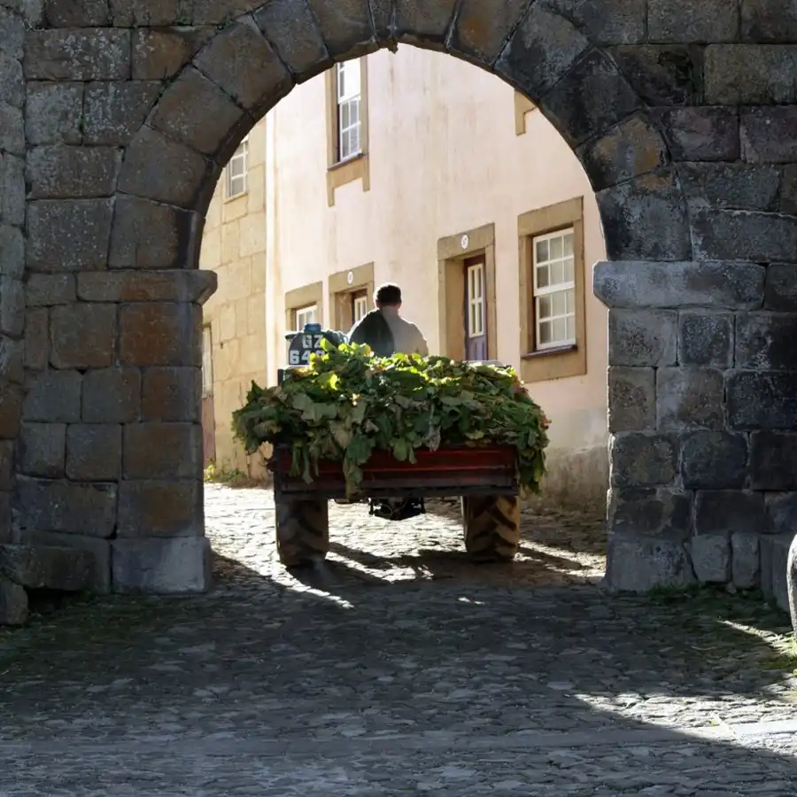 Dia a dia numa aldeia tradicional portuguesa, com a sua rotina e encanto.