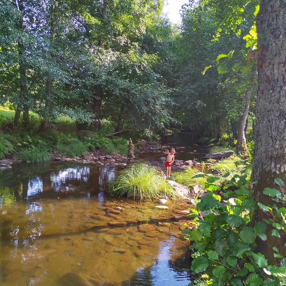 Paz na natureza: um momento de tranquilidade junto a um ribeiro na montanha.