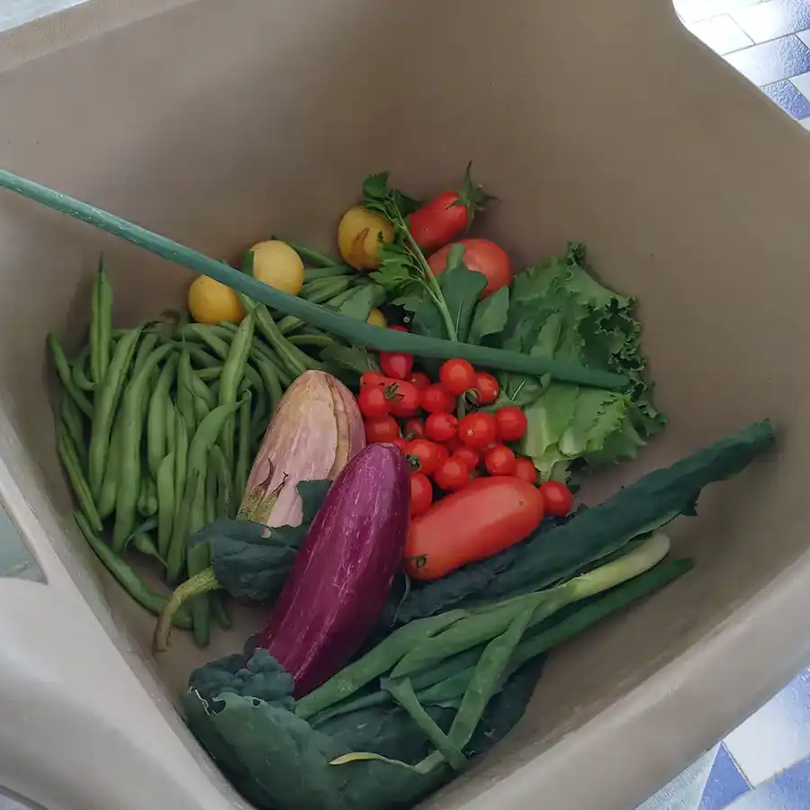 Legumes frescos e coloridos, perfeitos para uma refeição saudável e saborosa.