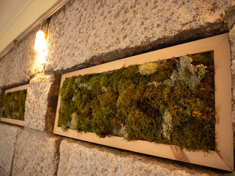 Planta emoldurada, um toque natural e elegante para um ar mais puro.