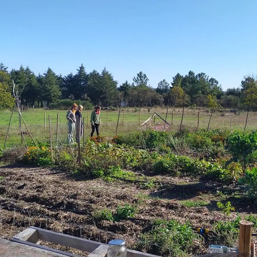Hortas da Serra da Estrela: paisagem rural, tranquilidade e contacto com a natureza.